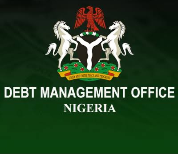 Nigeria's Debt Hits 31 Trillion Naira - Debt Mgt Office