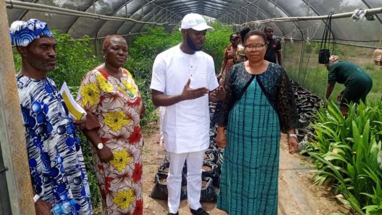 Partnership In Agricultural Empowerment: Hon Amobi Ogah Education Foundation Visits Federal College of Forest Resource Management, Ishiagu